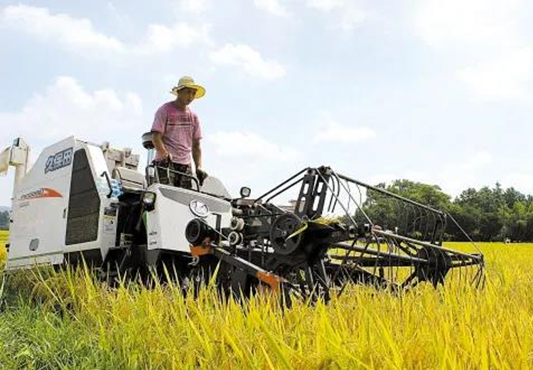 欧亿体育集团开展“我为收割队伍送清凉”慰问活动